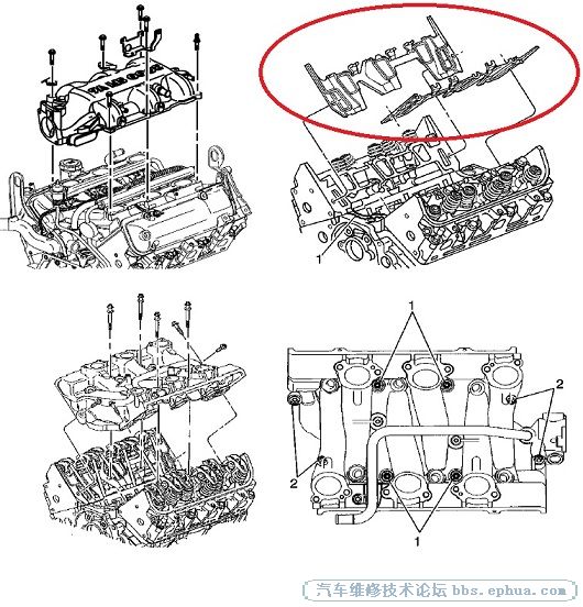 ޱ.jpg